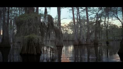 Trailer 1 Buck