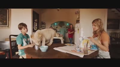 Trailer Mia and the White Lion (Mia et le lion blanc)