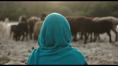 Trailer Wolf and Sheep