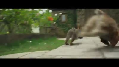Trailer Peter Rabbit