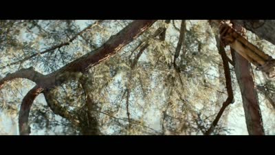 Trailer Feed