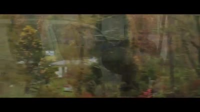 Trailer Little Sister