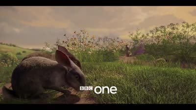Trailer Watership Down