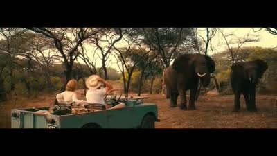 Trailer Breathe