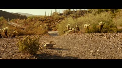 Trailer Lucky