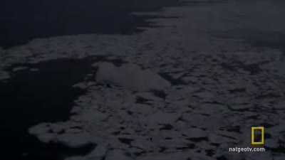 Trailer Before the Flood