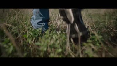 Trailer A Dark Place