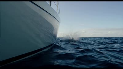 Trailer Styx