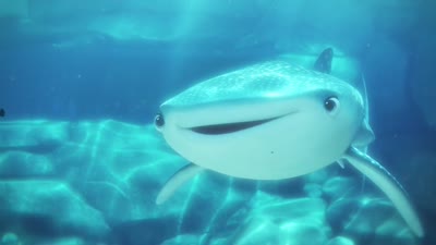 Trailer Marine Life Interviews