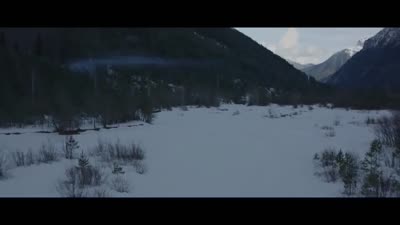 Trailer The Skin of the Wolf