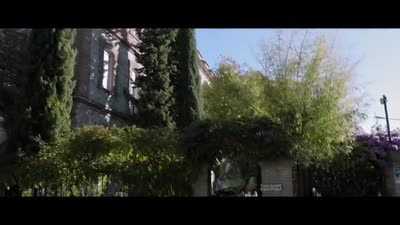 Trailer The Tree of Blood