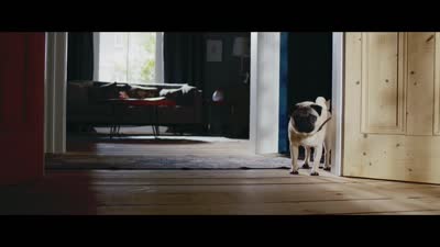 Trailer Patrick