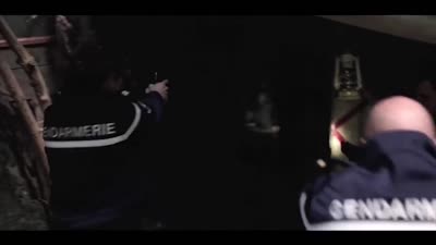 Trailer The Forest