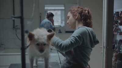Trailer Invisible