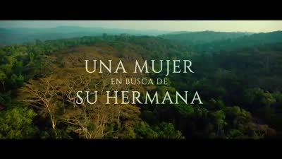 Trailer Sara's Notebook