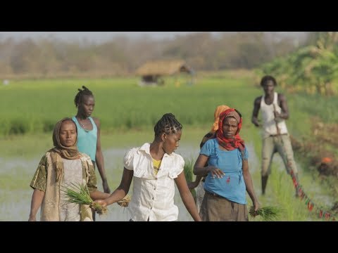 Trailer Dead Donkeys Fear No Hyenas