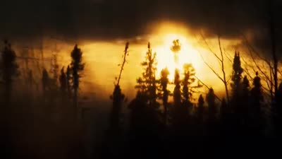 Trailer The Tragically Hip - Long Time Running
