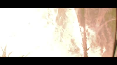 Trailer Firebase