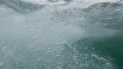 Trailer Deep Blue Sea 2