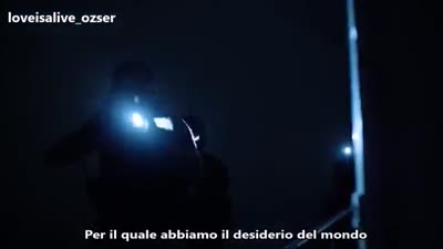 Trailer Wolf