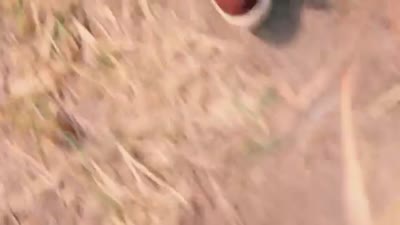 Trailer Jane