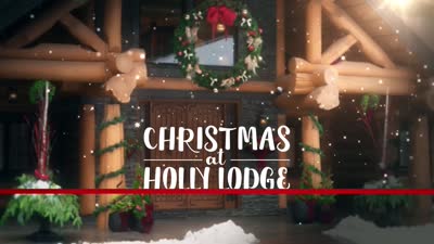 Trailer Christmas at Holly Lodge