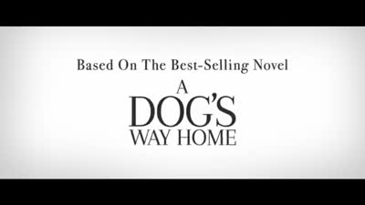 Trailer A Dog's Way Home
