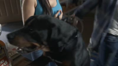 Trailer Alpha Wolf