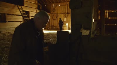 Trailer Orphan Horse