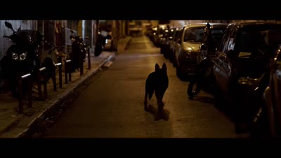 Trailer Pari