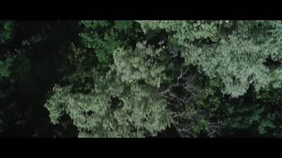 Trailer The Golem