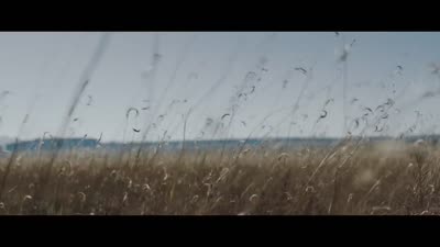 Trailer The Wind