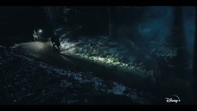 Trailer Parallels