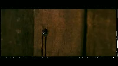 Trailer Meat Grinder (Cheuat Gon Chim)